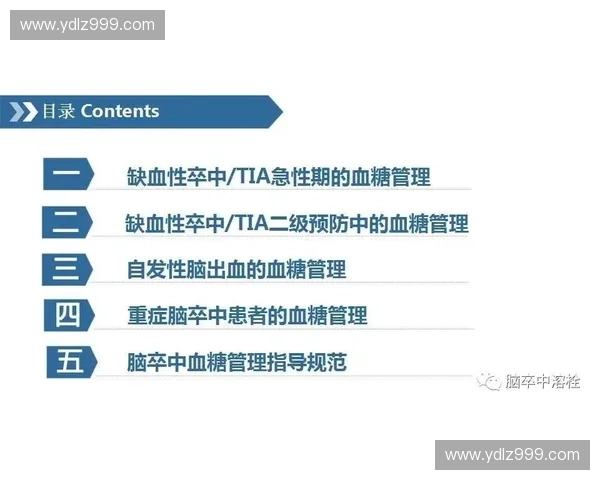 裁判手势解读与比赛规则执行的全面指南与实用技巧